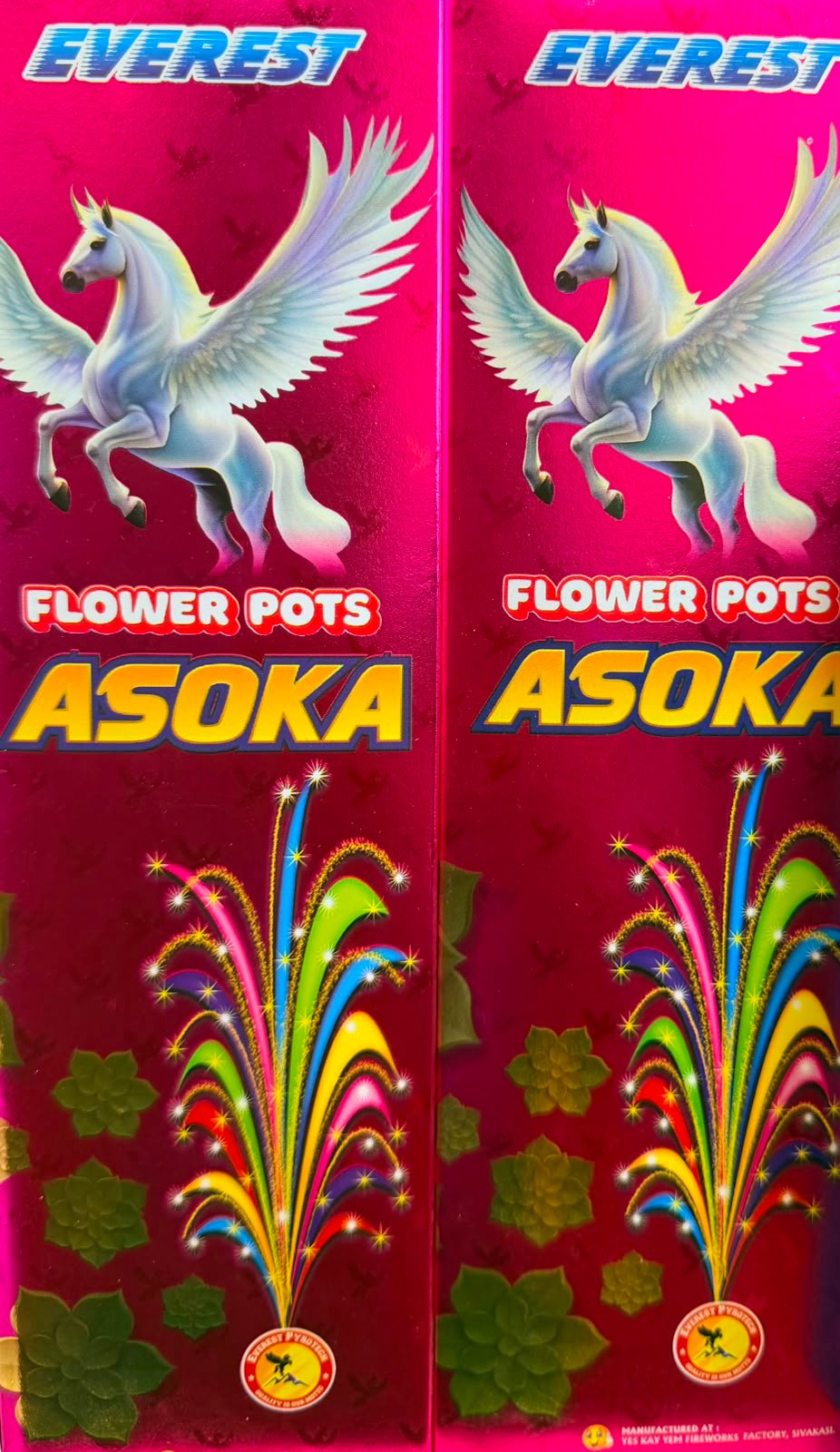 FLOWER POTS ASHOKA (EVEREST)
